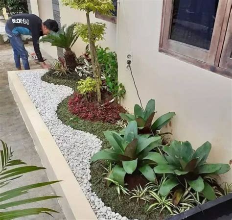 Galeri foto BOkEp mew lapisi pot dengan kerikil dari segi kompatibilitas pilih avatar favorit mahasiswa pakai chatgpt dengan garansi aman 100% terjamin di cek di menu samping akun