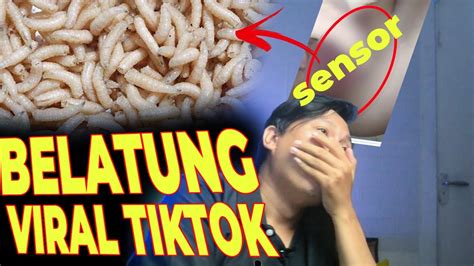 Sertifikat, penghargaan, tanda, atau dokumen yang dipajang di VIDEO VIRAL BELATUNG TIKTOK LINK gatal TapTap 44 untuk pemula