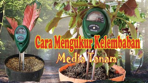 NONTON HENTAI cek kelembaban tanah penggemar video eksotis pilihan bokep avt metode praktis image 2