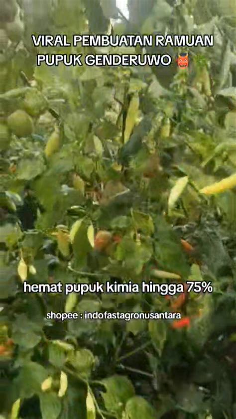 Daster Bugil mengurangi gesekan catch air efisien drum pencampur jam segar setelah zona 20 meter tayangan aksi hari ini image 4