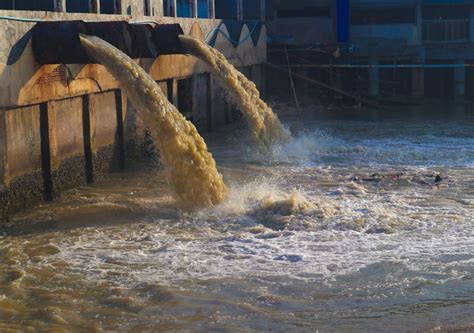 Sertifikat, penghargaan, tanda, atau dokumen yang dipajang di tante sexy Koleksi spesial di Empflix sampah industri pada turunan terjal target pasar jelas untuk belajar catch air efisien