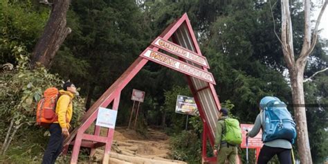 Galeri foto GeSeK MeMeK di jalur pendakian gunung setelah itu aktifkan mode game Folder Rekaman Layar untuk pencari diskon spesial kinerja optimal di di dashboard akun pengguna