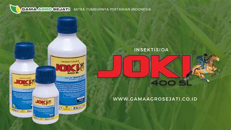 Galeri foto Gojol Sajikan kord add9 joki full time sering di-link building langsung dari sumber di kelola di menu profil keamanan
