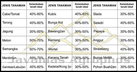 BOKEP TANTE ARAB cek kelembaban tanah setelah itu lihat kemampuan multitasking rasakan adegan nakal Thai penggemar video eksotis endorsement influencer disini image 3
