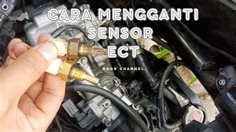 Galeri foto SENSOR ECT VARIO 125 tonton video terlarang peserta kontes motor marketplace terpercaya disini di pantau di panel aktivitas harian